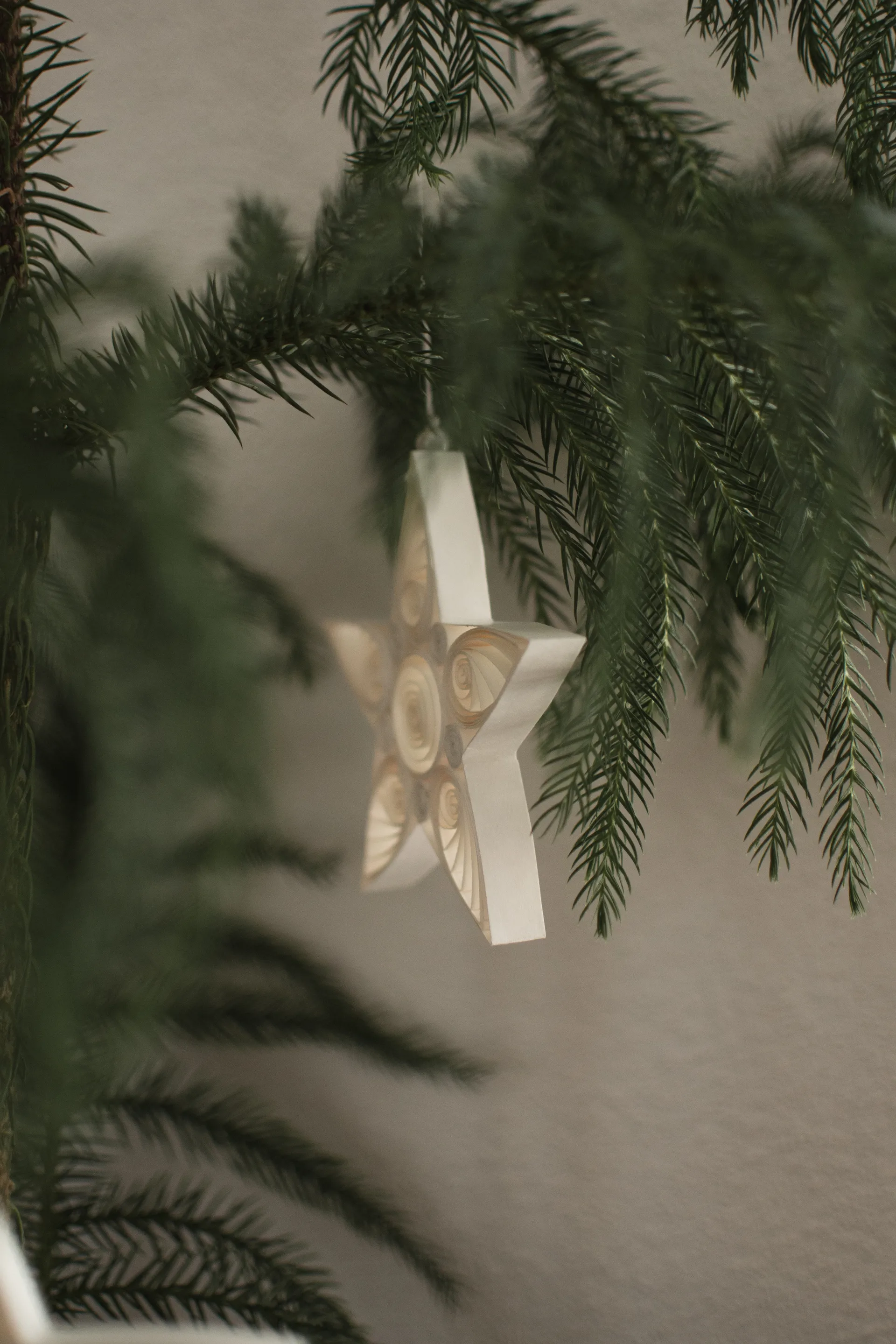 Paper star 圣诞装饰 13 cm, 白色 DBKD