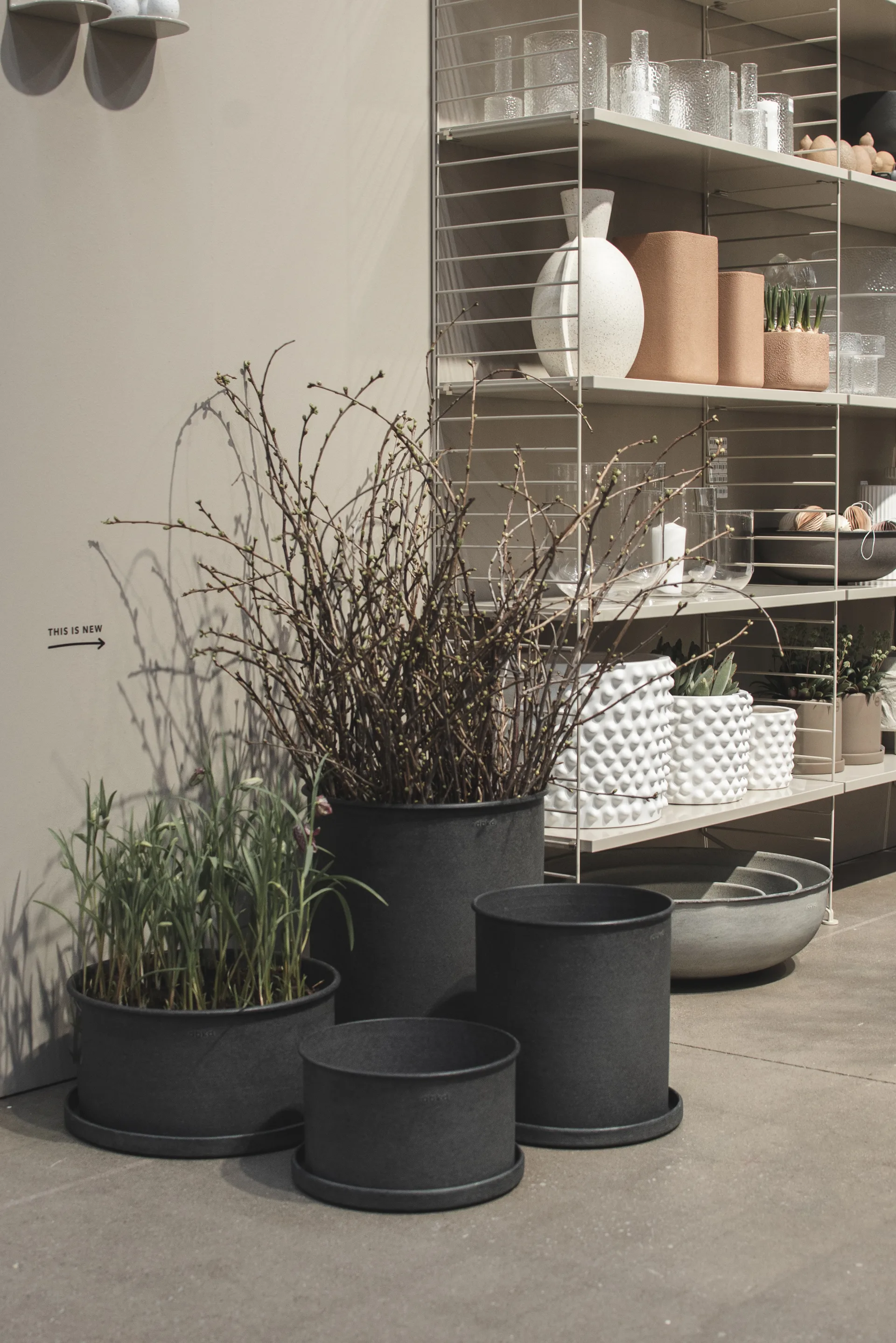 Plant 碗 花盆 两件套装, Black DBKD