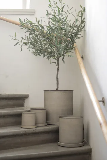 Plant pot 花盆 大 两件套装 - 米色 - DBKD