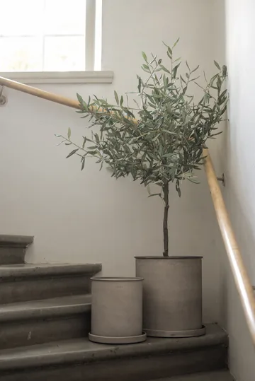 Plant pot 花盆 大 两件套装 - 米色 - DBKD