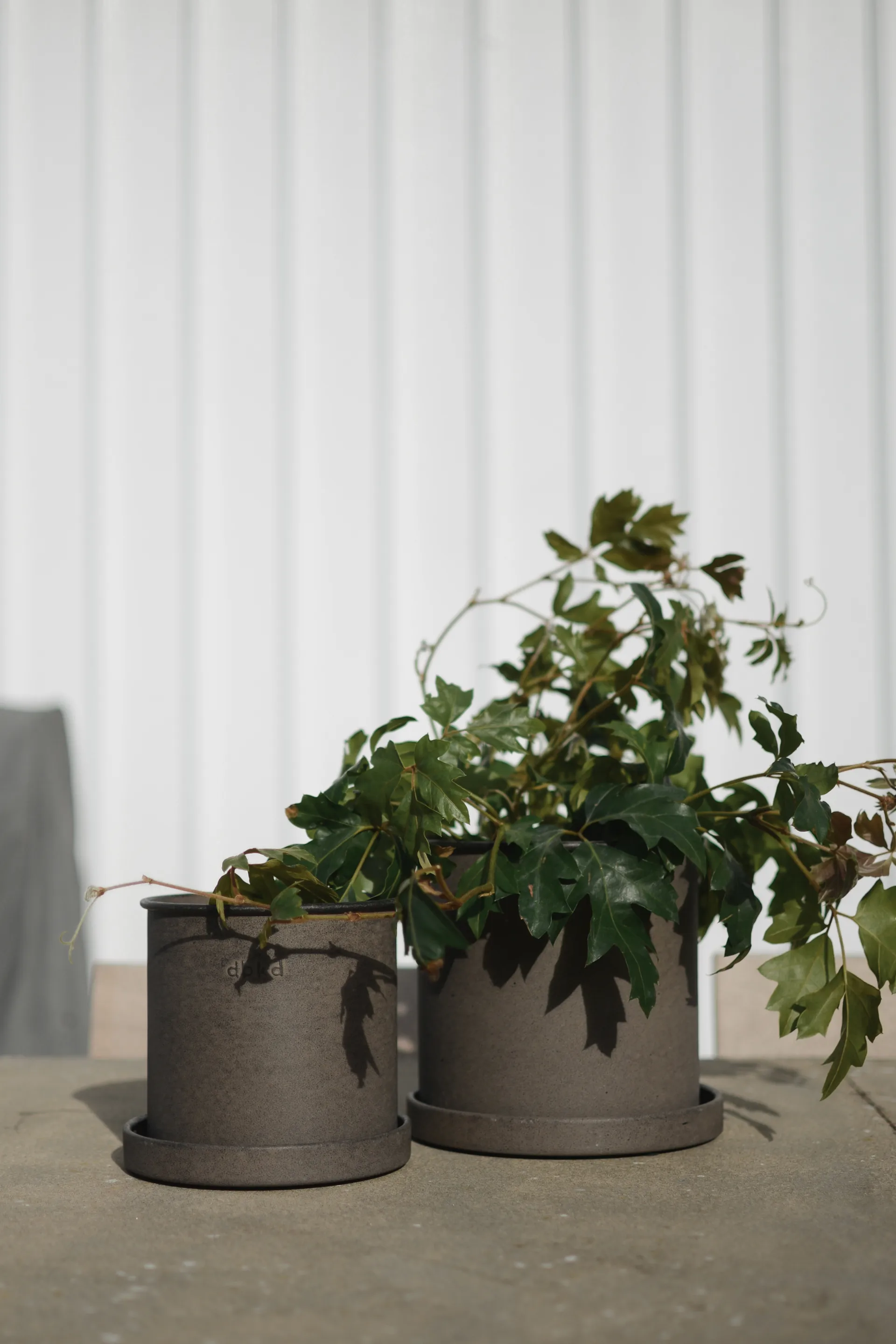 Plant pot 小 两件套装, 褐色 DBKD