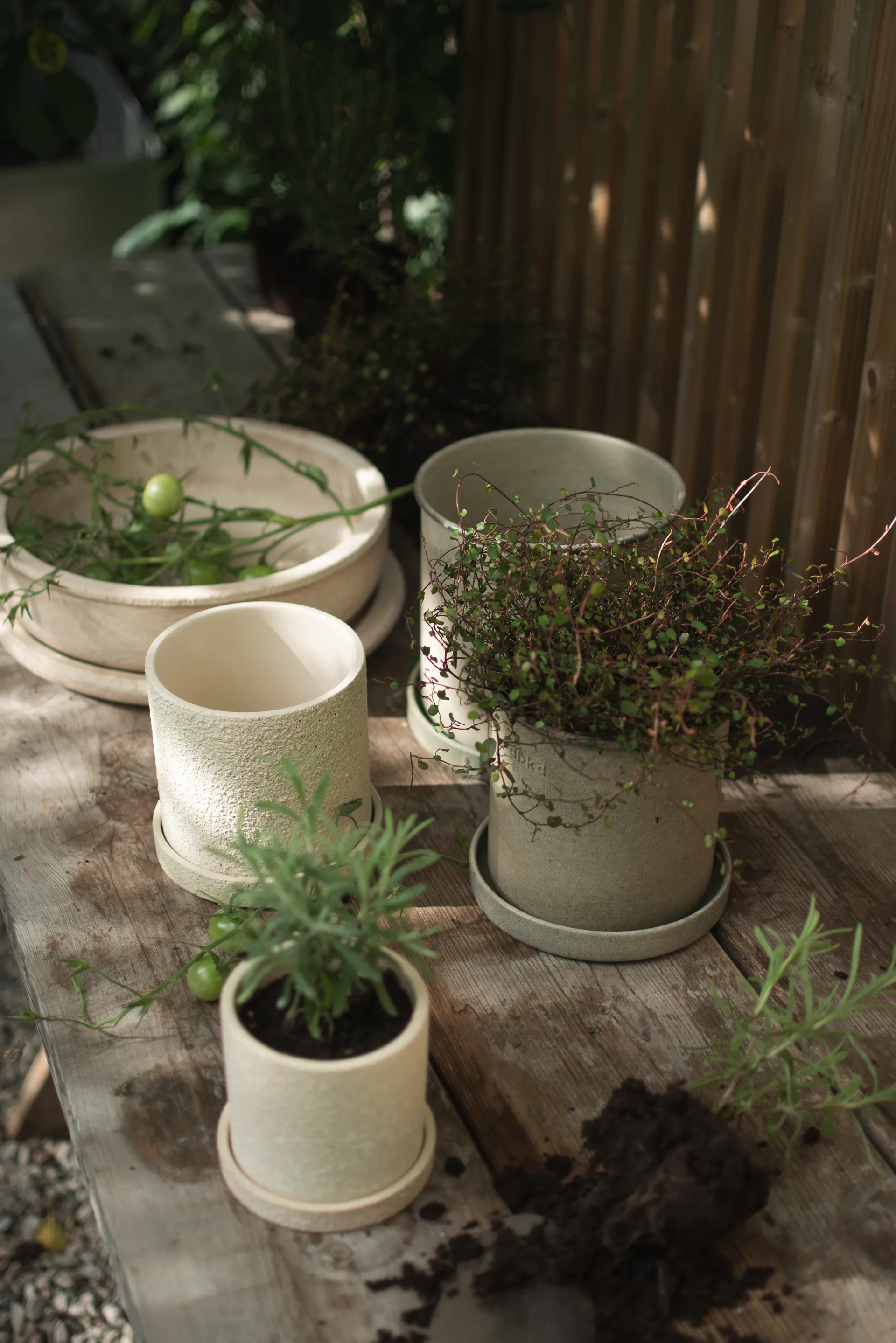 Plant pot 小 两件套装, 米色 DBKD