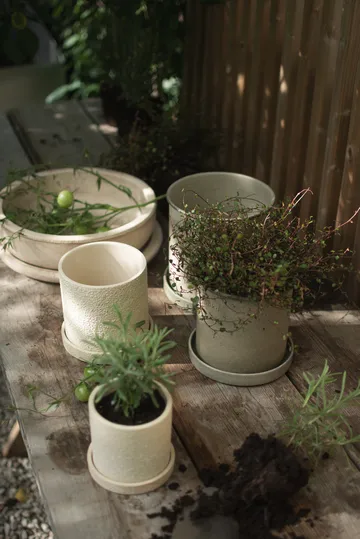 Plant pot 小 两件套装 - 米色 - DBKD