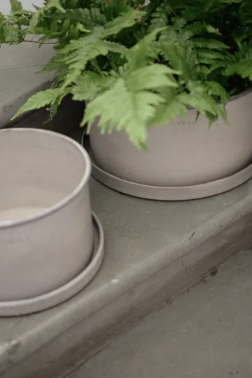 Plant 碗 花盆 两件套装 - 米色 - DBKD
