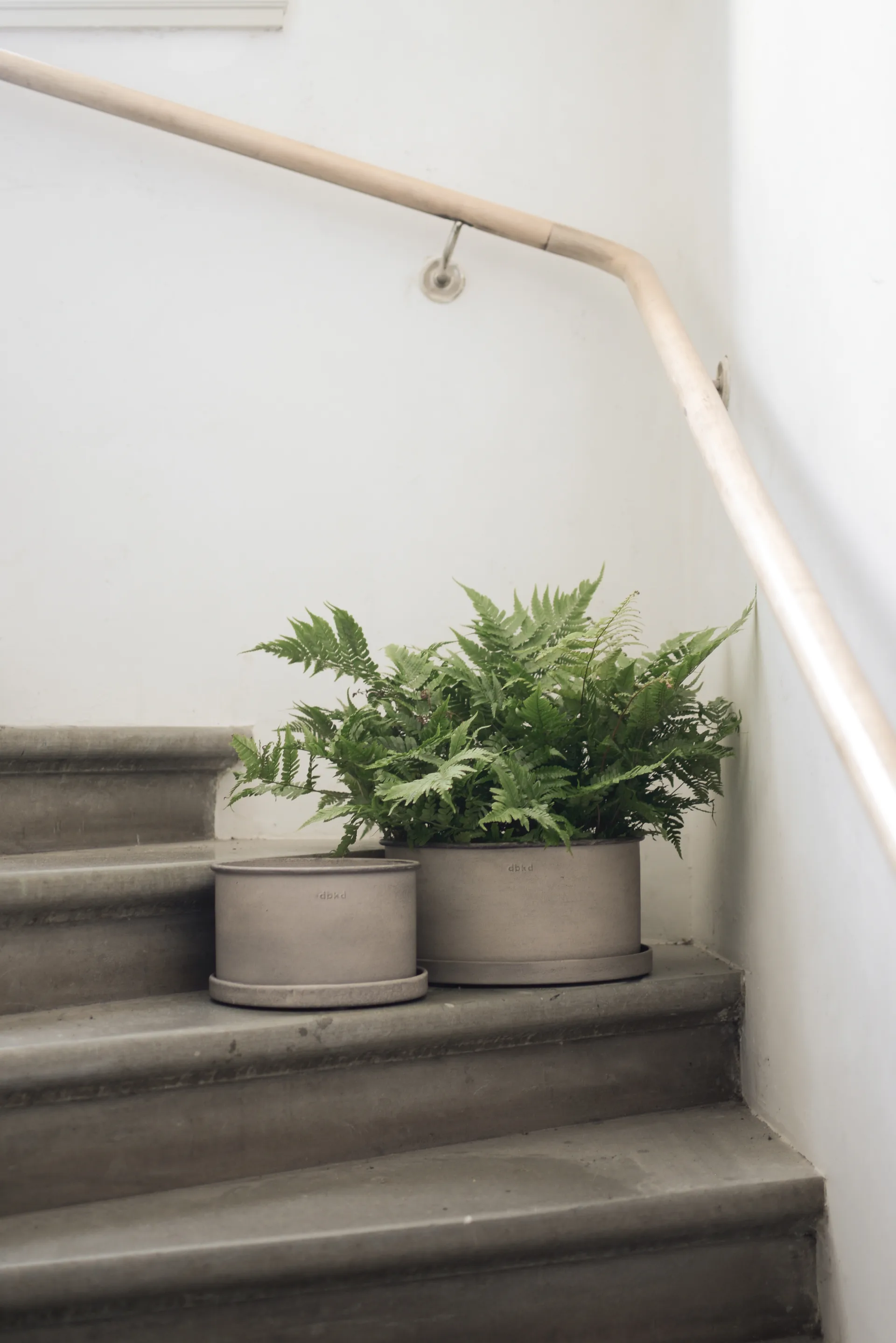 Plant 碗 花盆 两件套装, 米色 DBKD