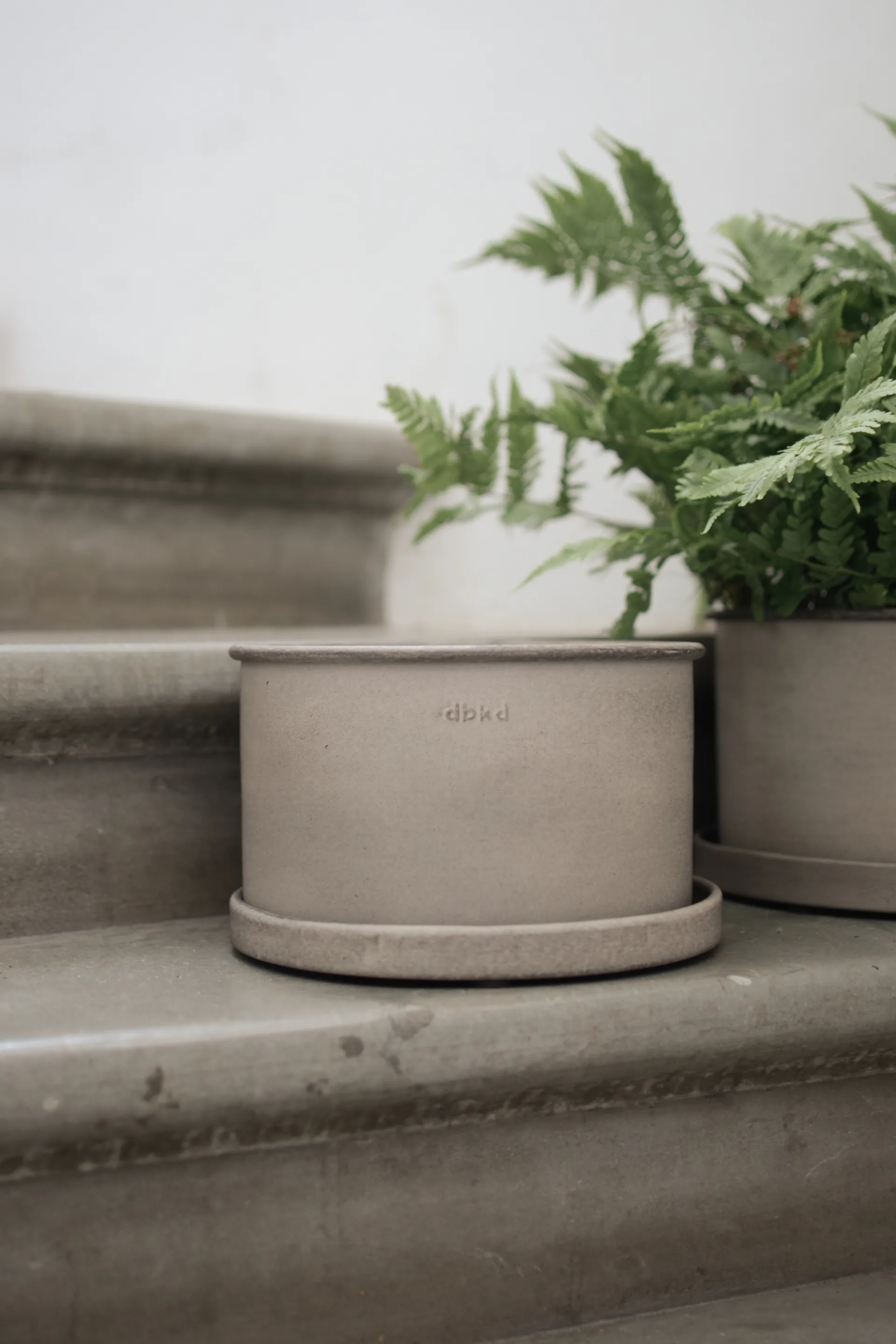 Plant 碗 花盆 两件套装, 米色 DBKD