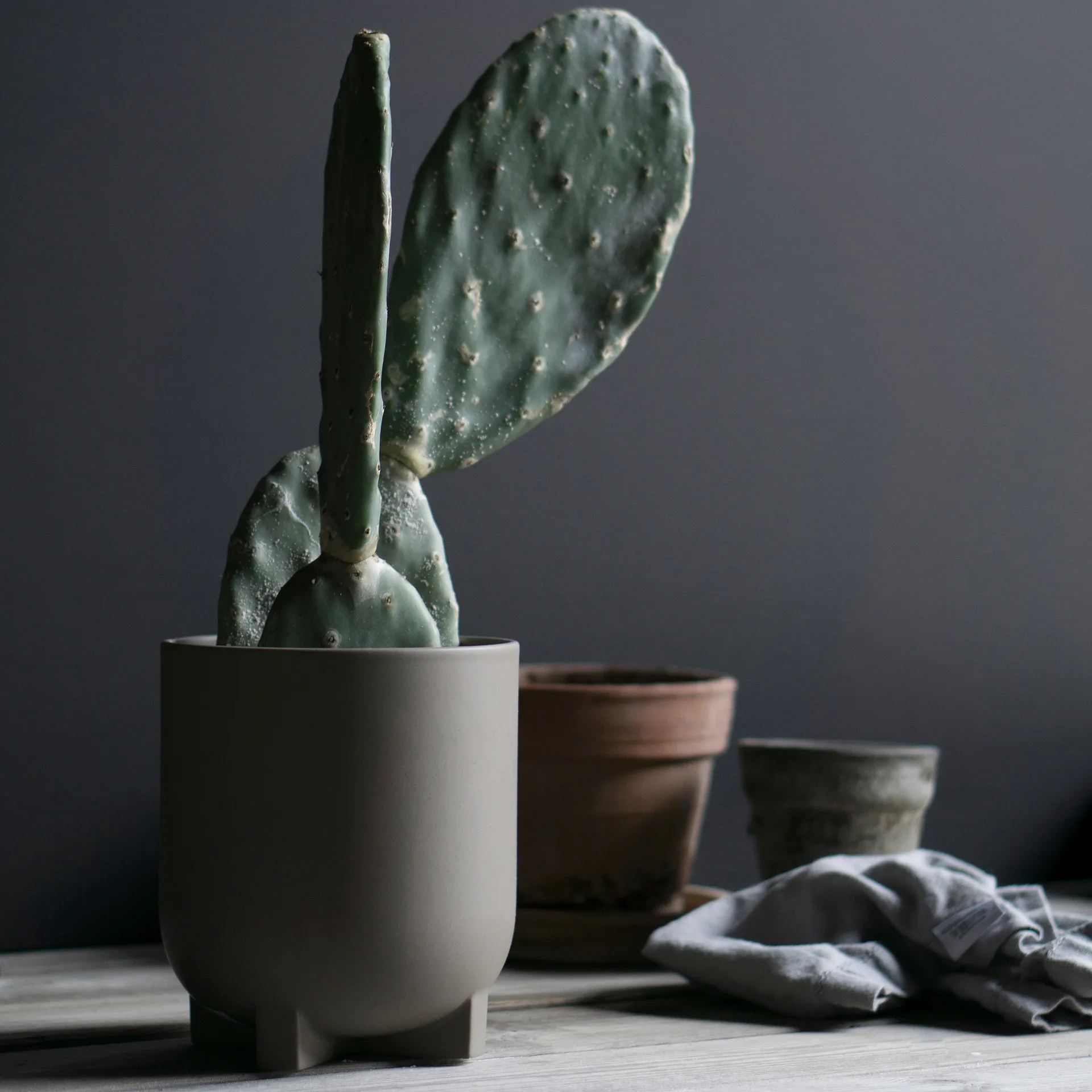 Plus 花盆  Ø16 cm, dust DBKD