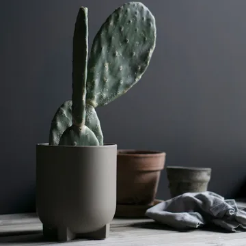 Plus 花盆 直径16cm - dust - DBKD