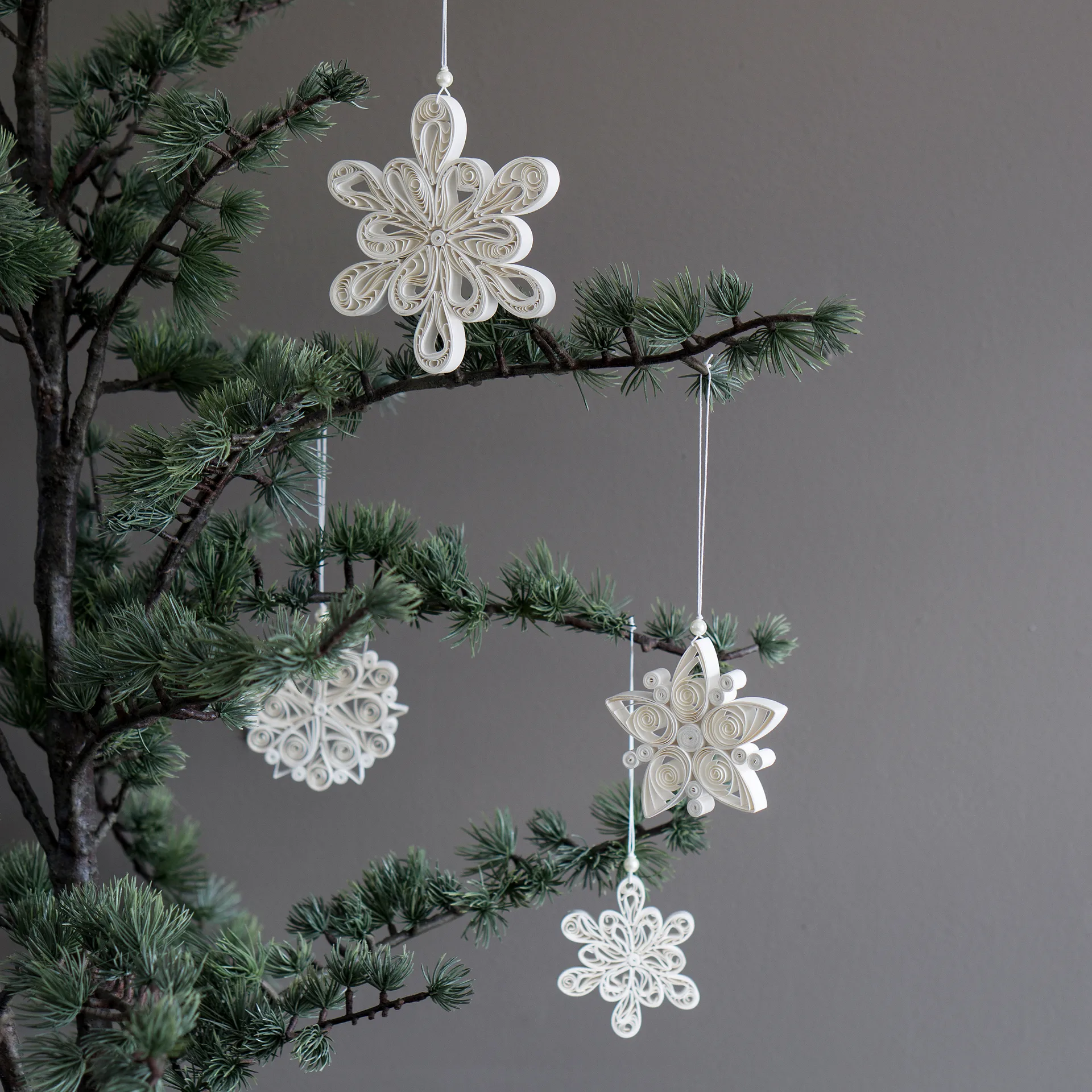 Regular Flake snowflake white,  DBKD