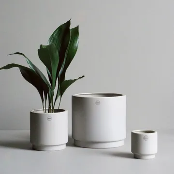Solid 鼹鼠色花盆 - 大号_直径24cm - DBKD