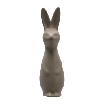 Swedish rabbit 大 - DBKD