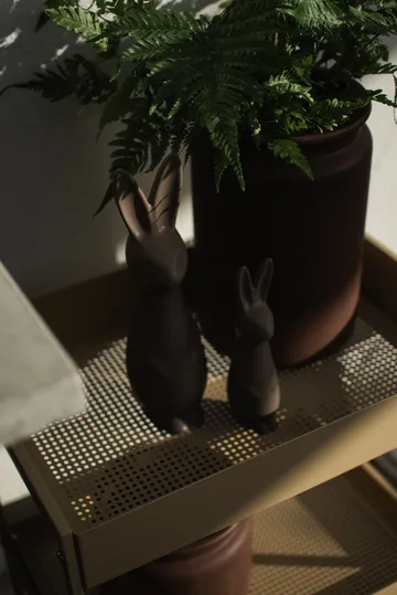 Swedish rabbit 大 - DBKD
