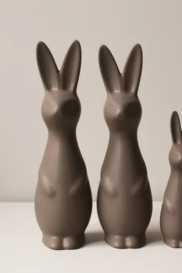 Swedish rabbit 大 - DBKD