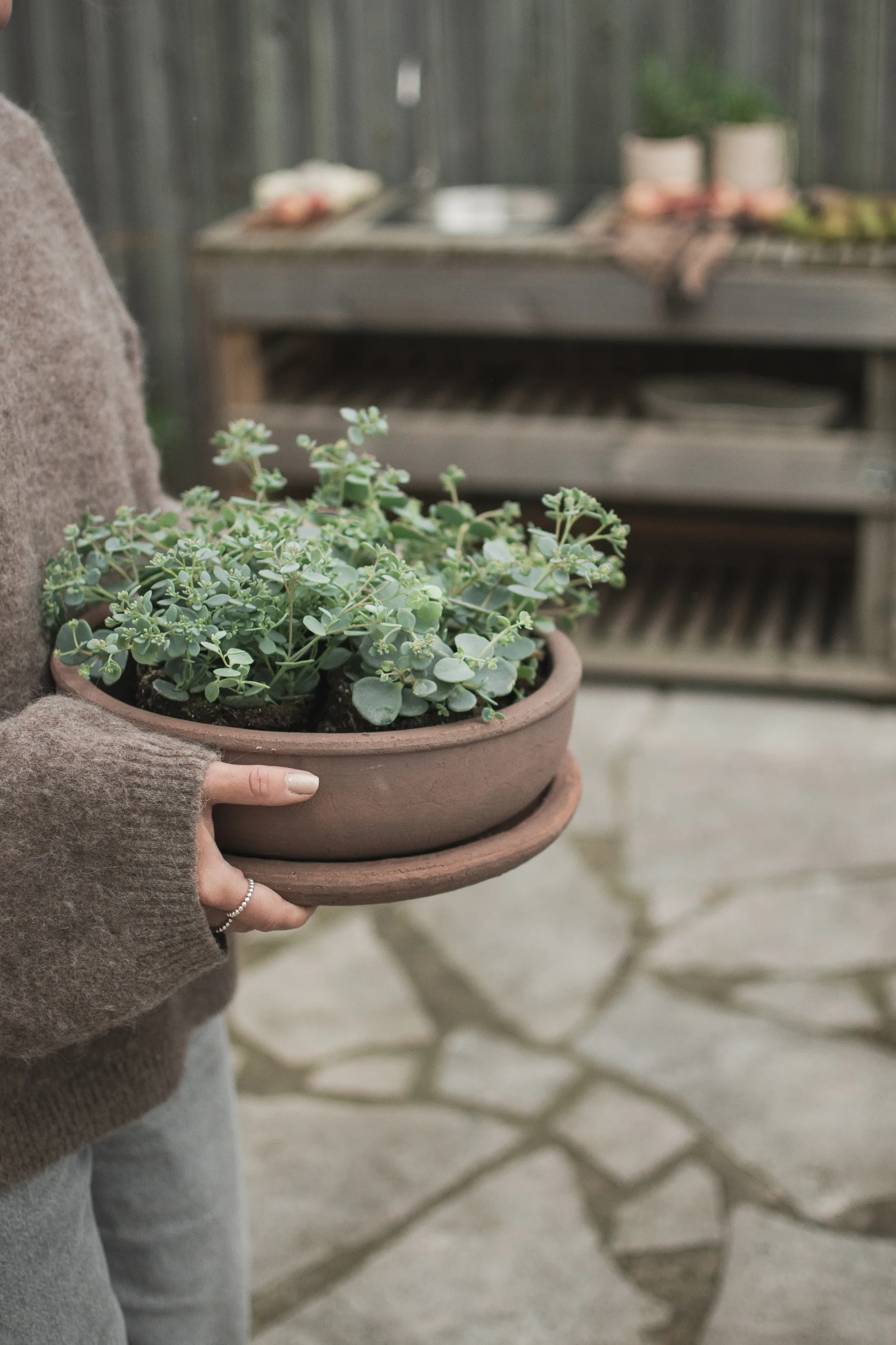 Terra 碗 planter, 褐色, Ø30x10.5 cm DBKD