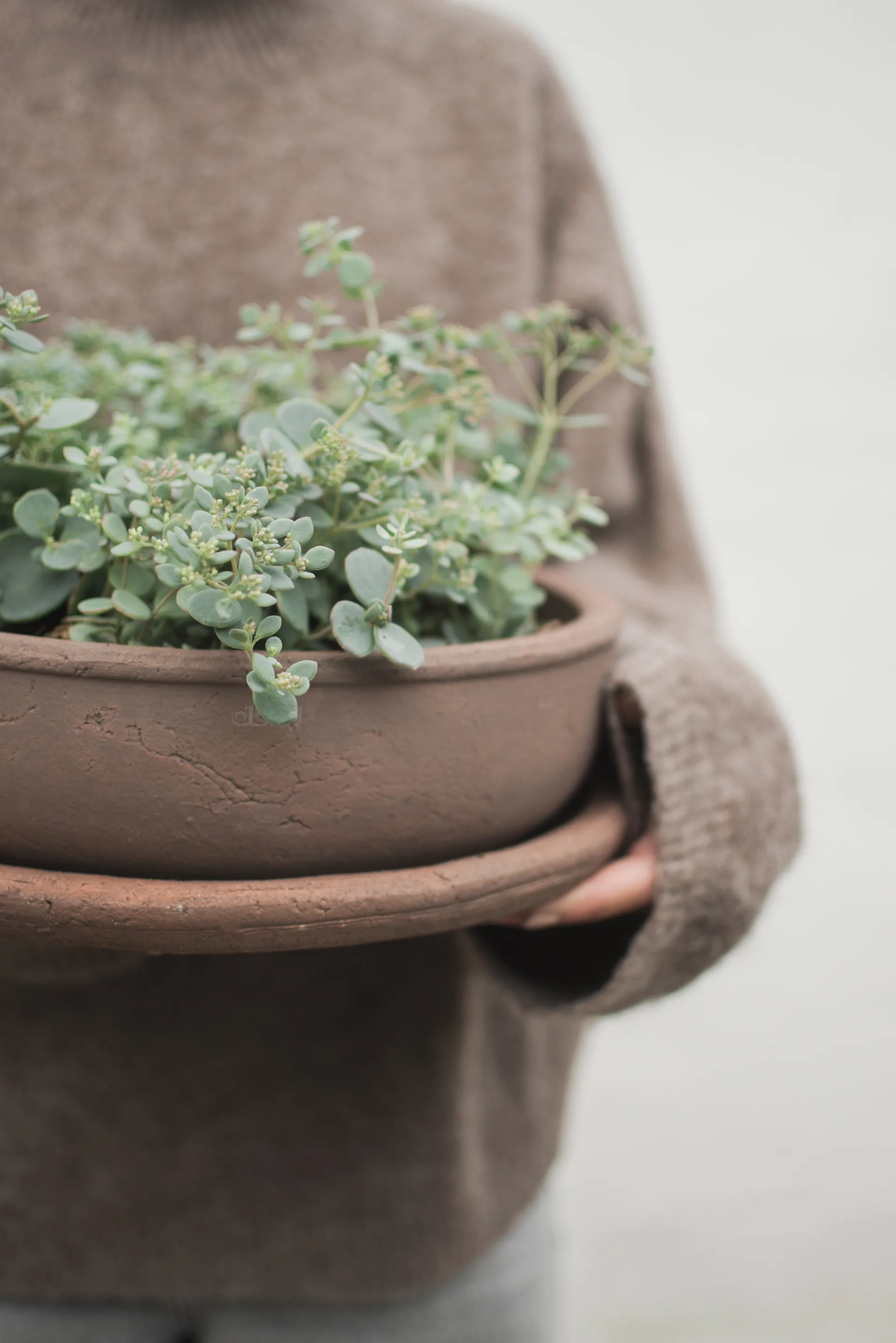 Terra 碗 planter, 褐色, Ø30x10.5 cm DBKD