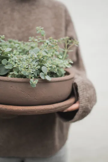 Terra 碗 planter - 褐色, Ø30x10.5 cm - DBKD