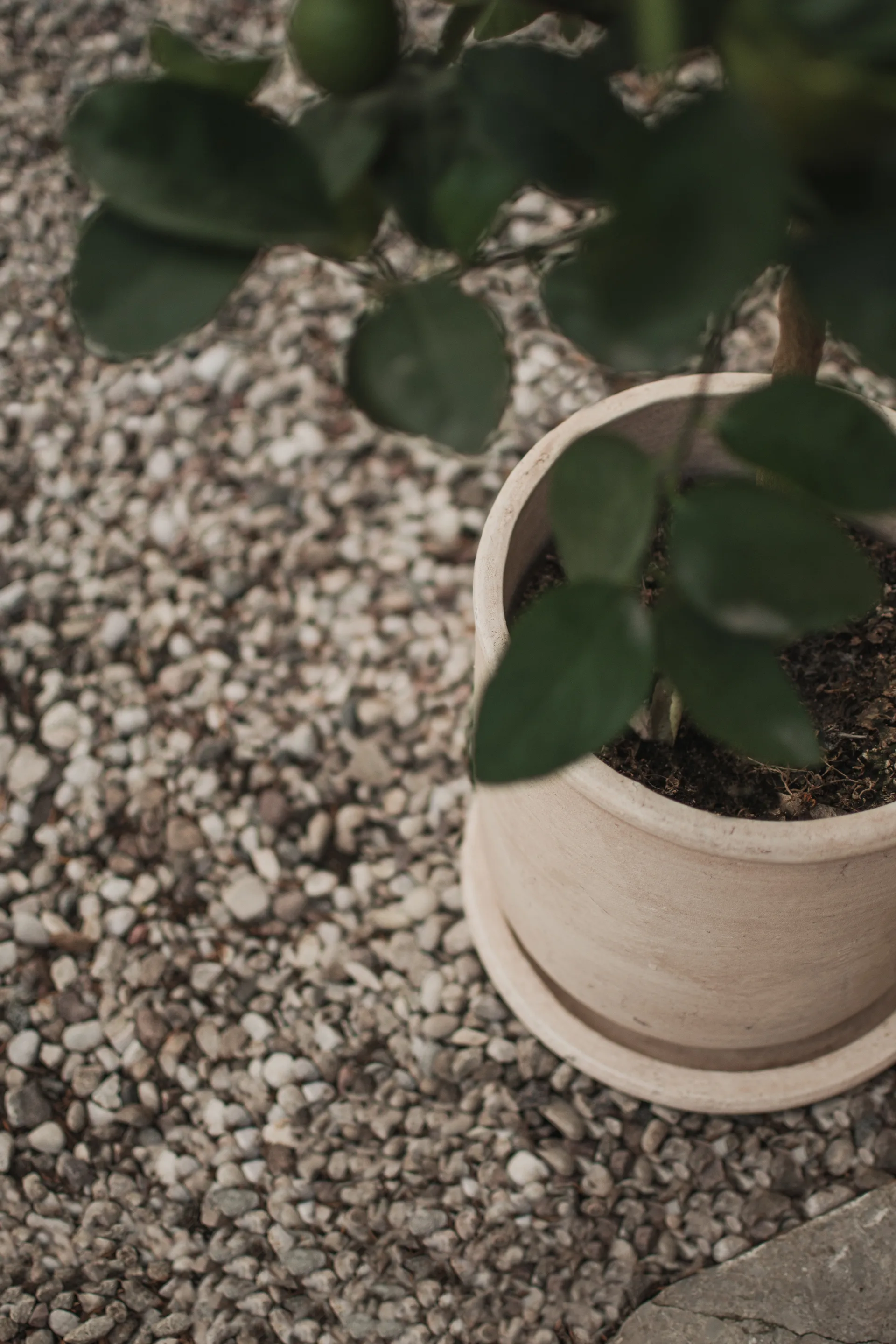 Terra pot, 沙色, Ø23x26 cm DBKD