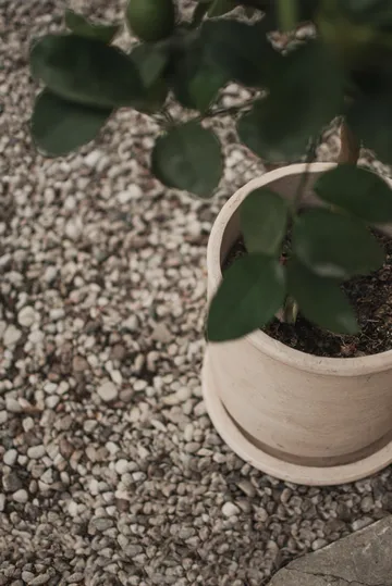 Terra pot - 沙色, Ø23x26 cm - DBKD