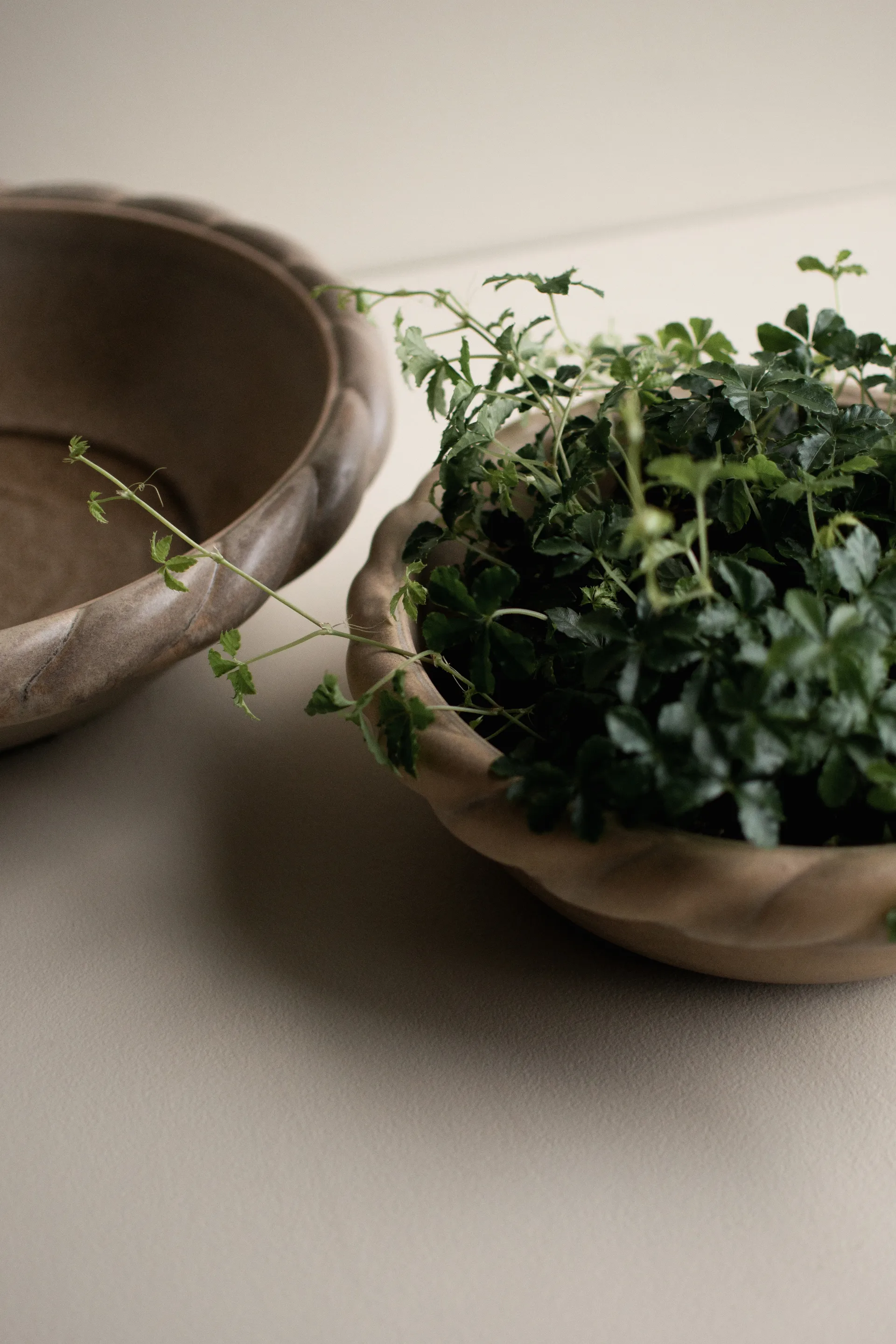 Twine fat Ø30 cm, 米色 DBKD