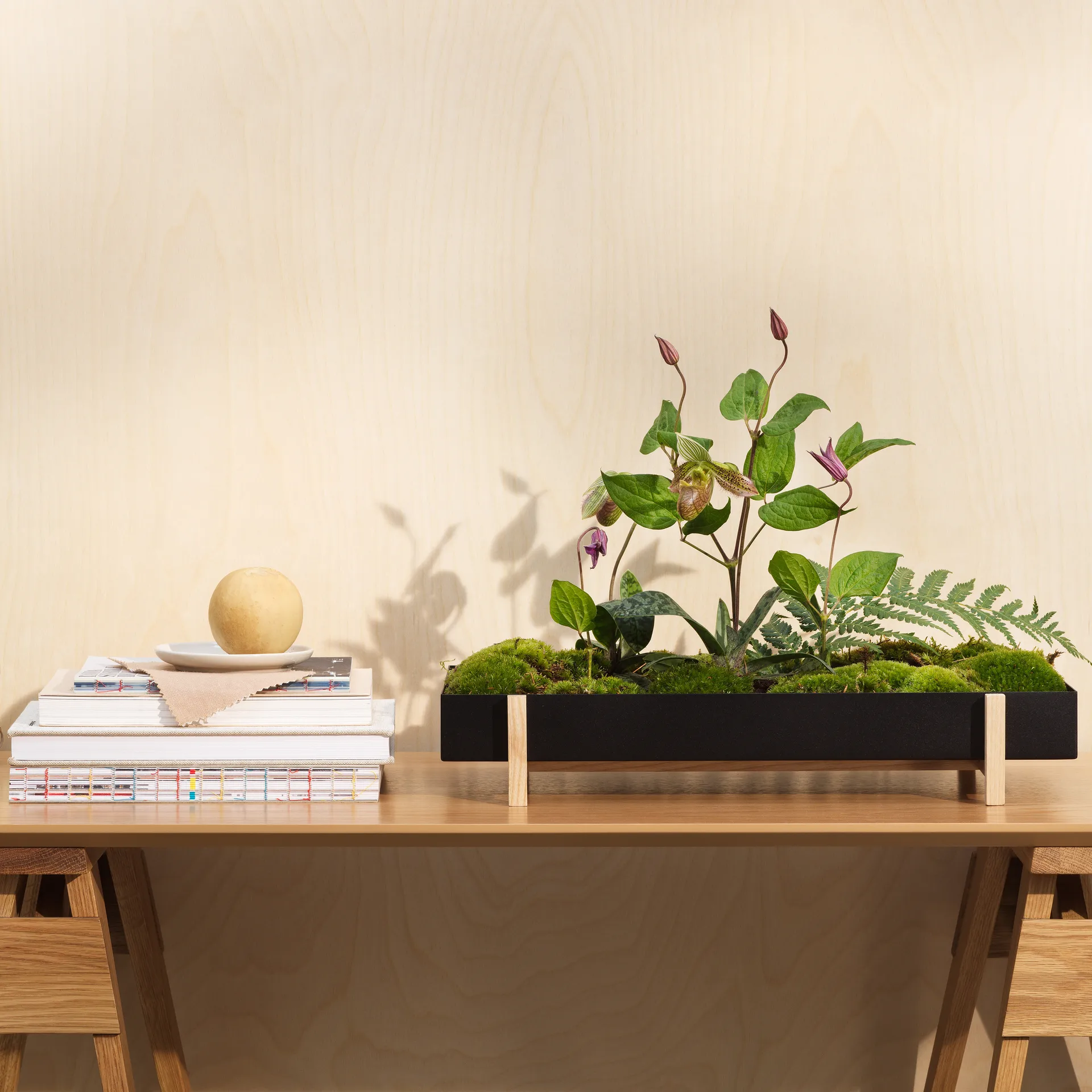 Botanic Flower Tray flower box, 黑色 Design House Stockholm