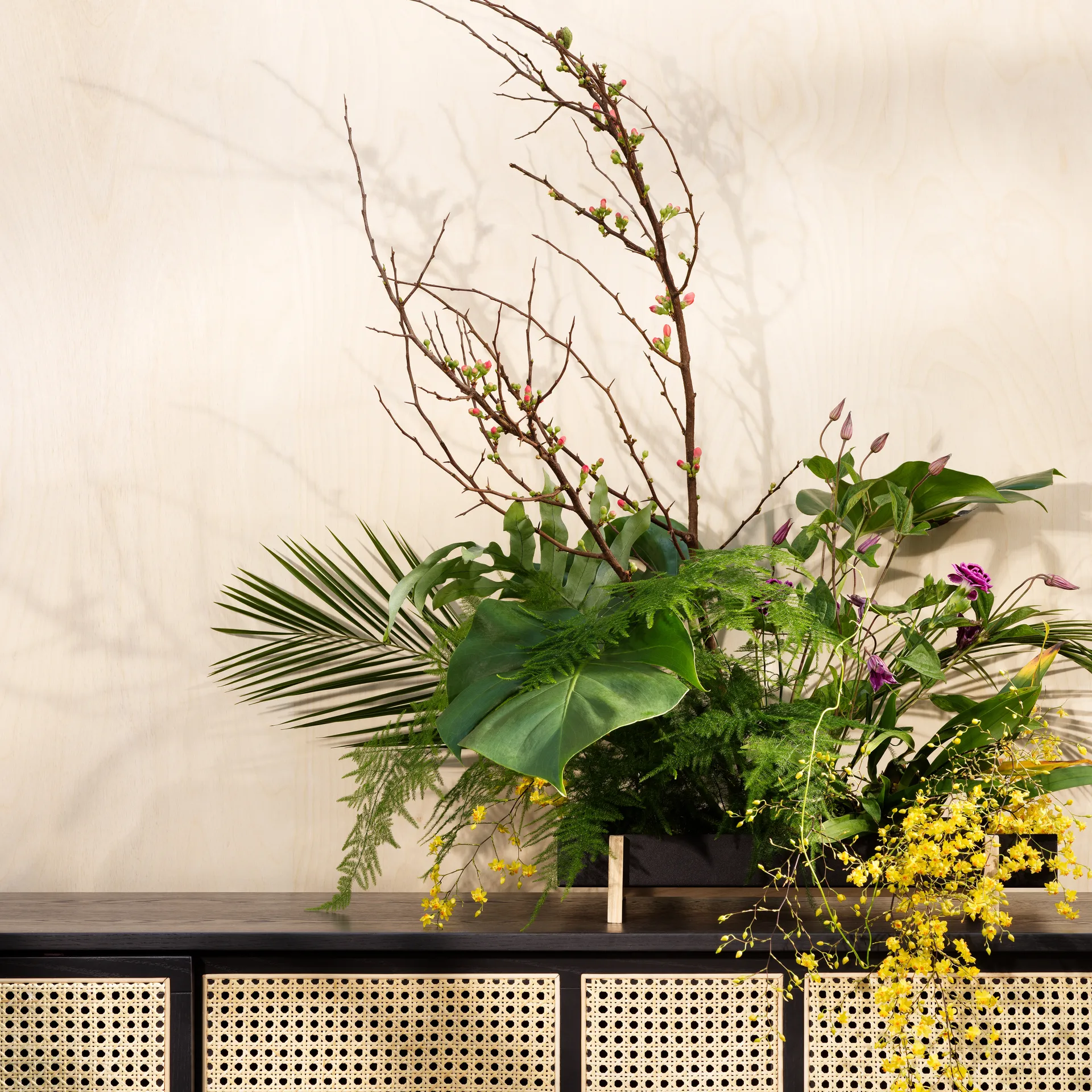 Botanic Flower Tray flower box, 黑色 Design House Stockholm