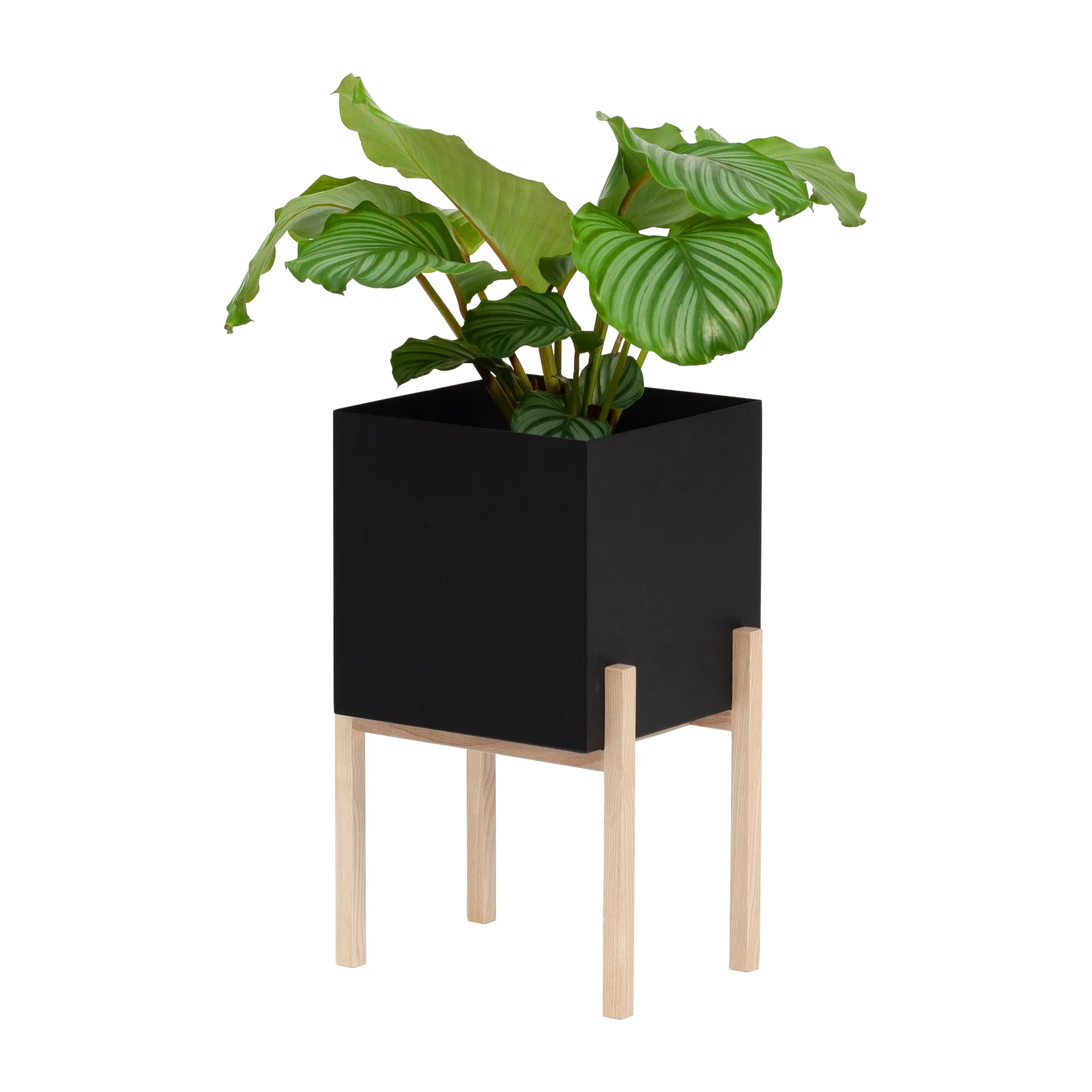 Botanic pedestal flower pot, 黑色-box Design House Stockholm