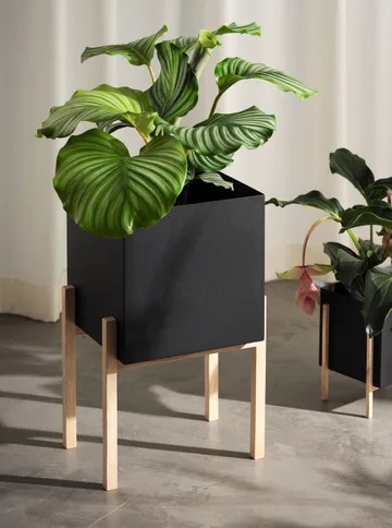 Botanic 底座花盆 - 黑色_盒款 - Design House Stockholm