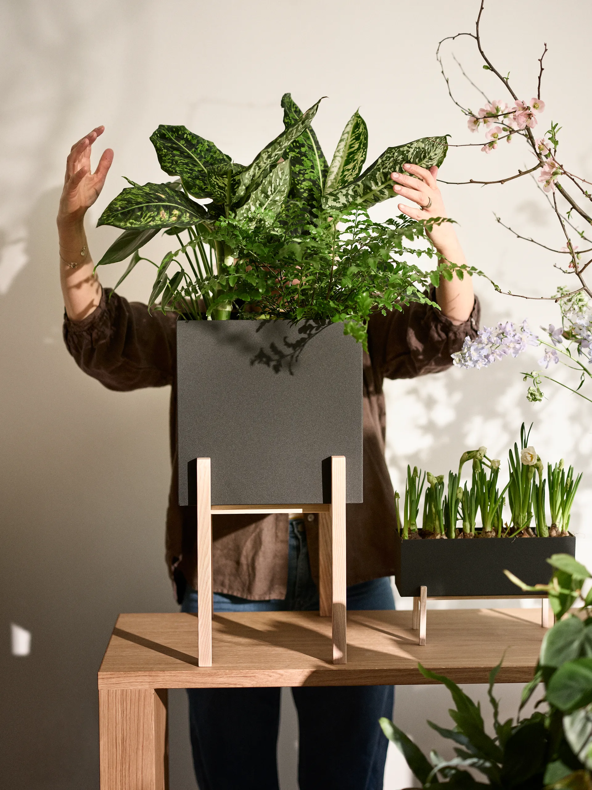 Botanic 底座花盆, 黑色_盒款 Design House Stockholm