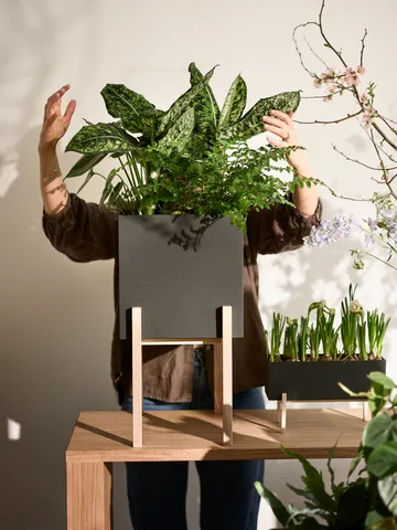 Botanic 底座花盆 - 黑色_盒款 - Design House Stockholm