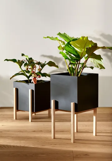 Botanic 底座花盆 - 黑色_盒款 - Design House Stockholm