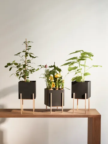 Botanic 底座花盆 - 黑色_盒款 - Design House Stockholm