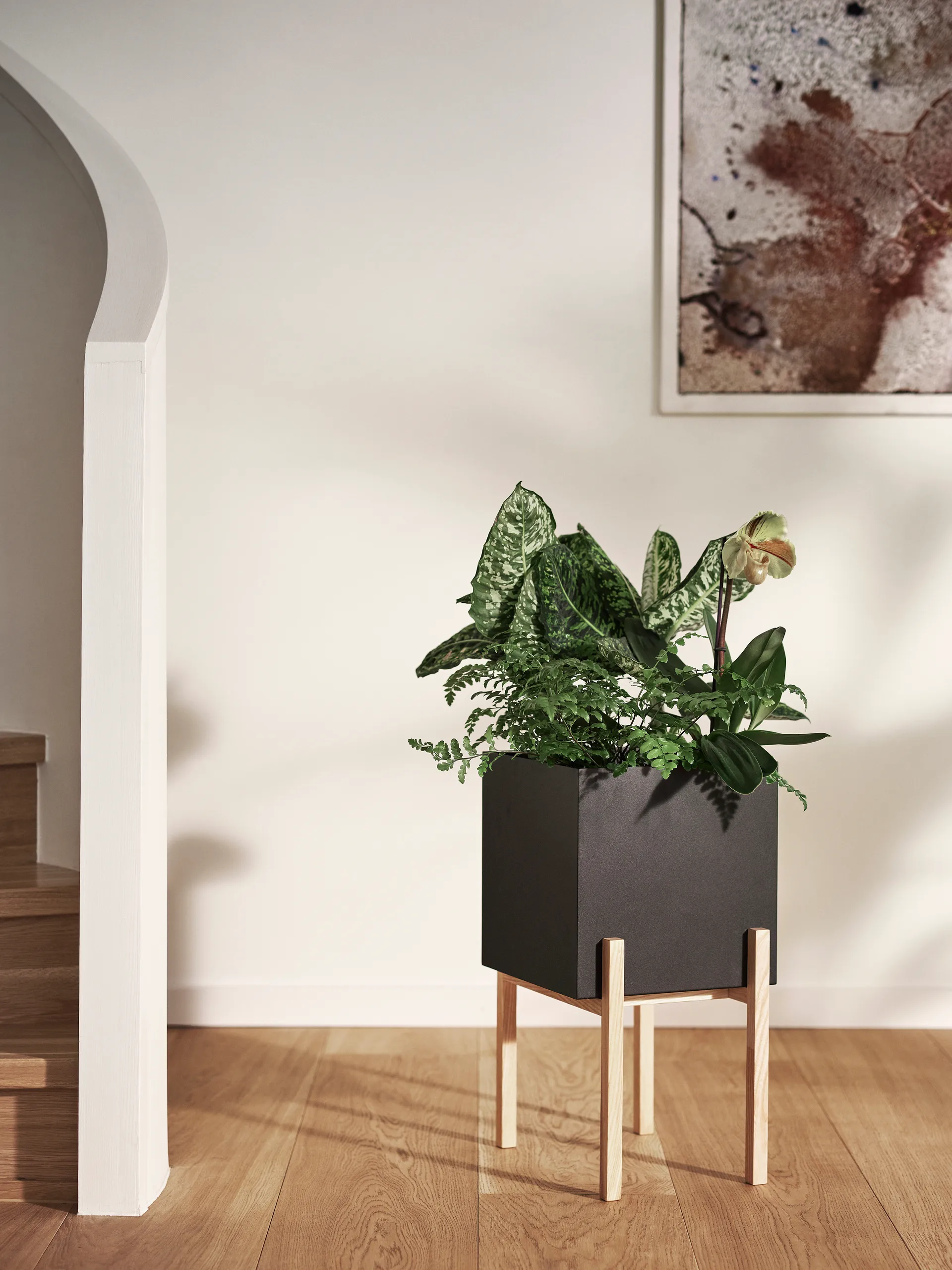 Botanic 底座花盆, 黑色_盒款 Design House Stockholm