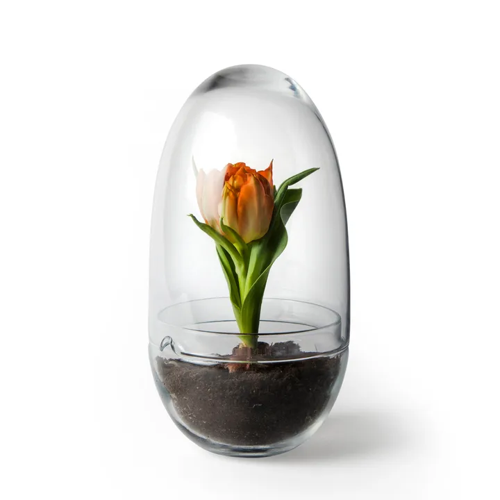 Grow 温室花房 - 中号_直径11cm - Design House Stockholm