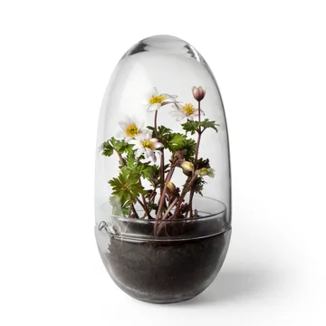 Grow 温室花房 - 中号_直径11cm - Design House Stockholm