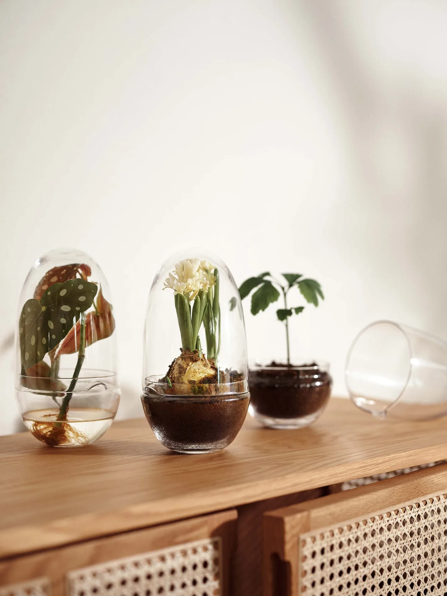 Grow 温室花房, 中号_直径11cm Design House Stockholm