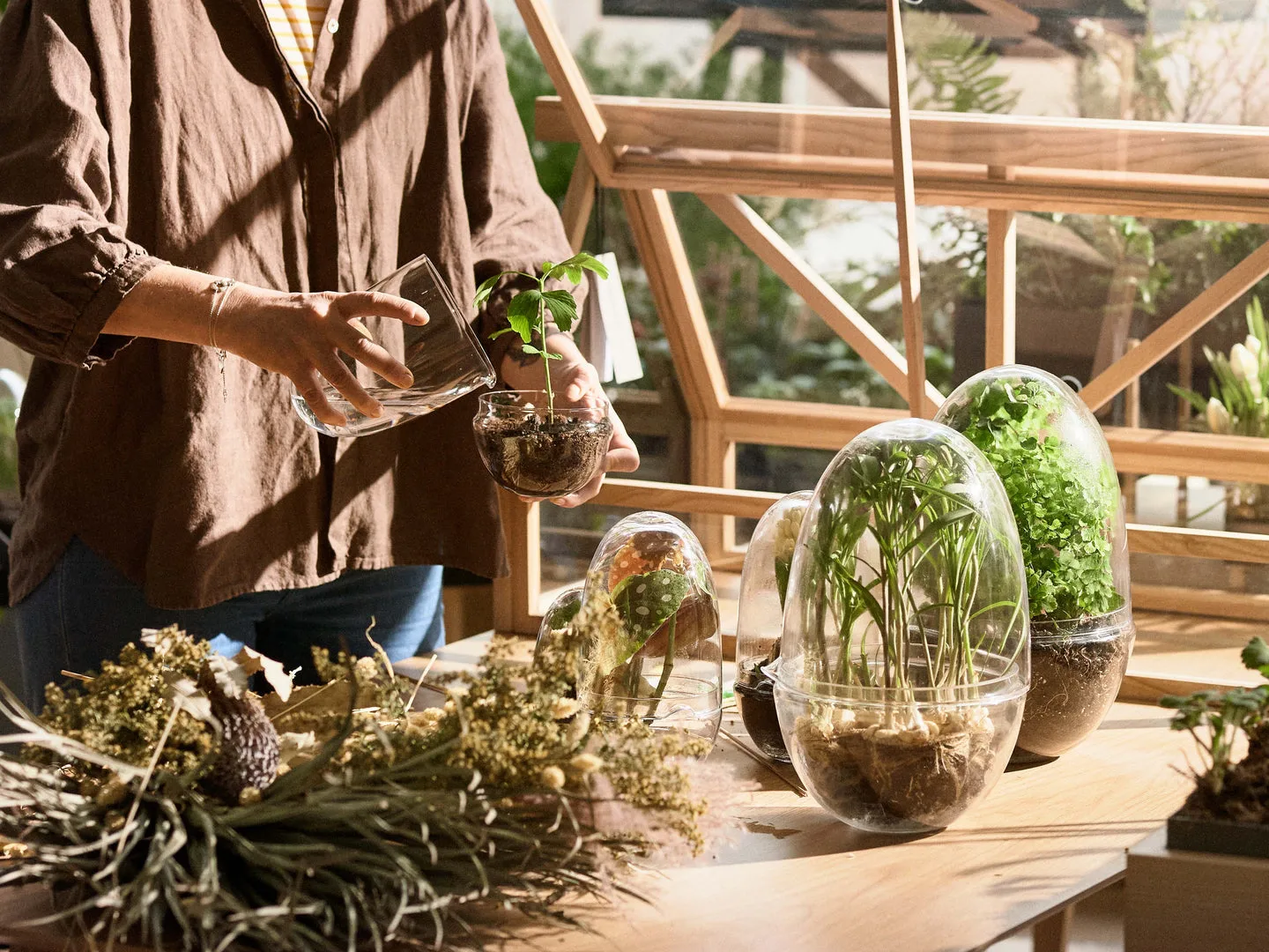 Grow 温室花房, 中号_直径11cm Design House Stockholm