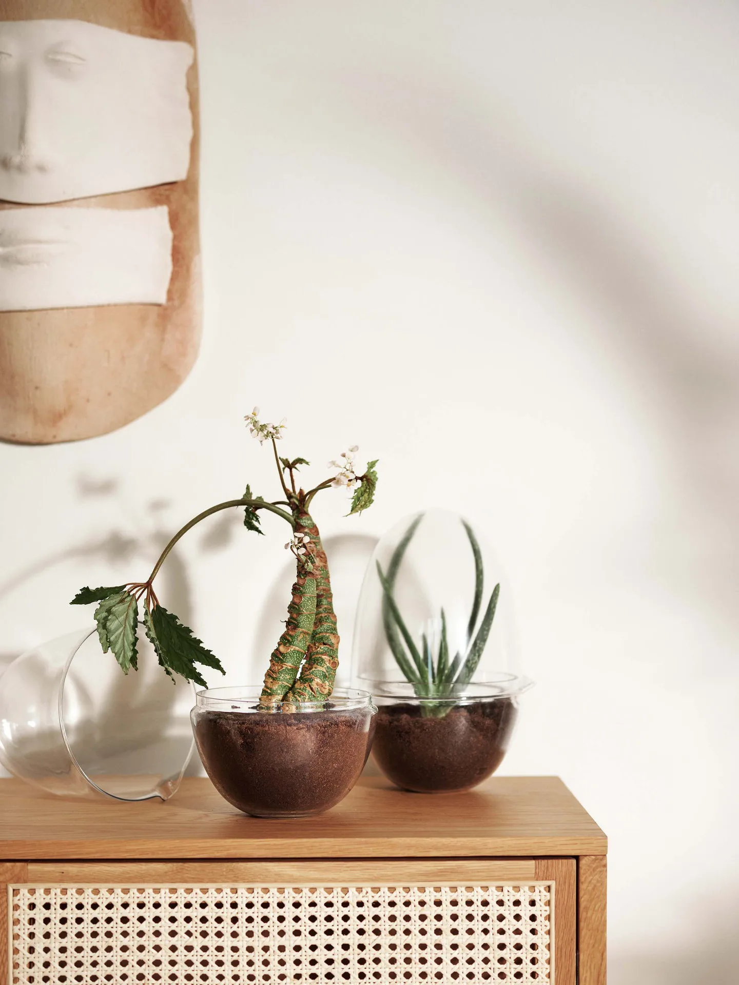 Grow 温室花房, 加大号_直径20cm Design House Stockholm
