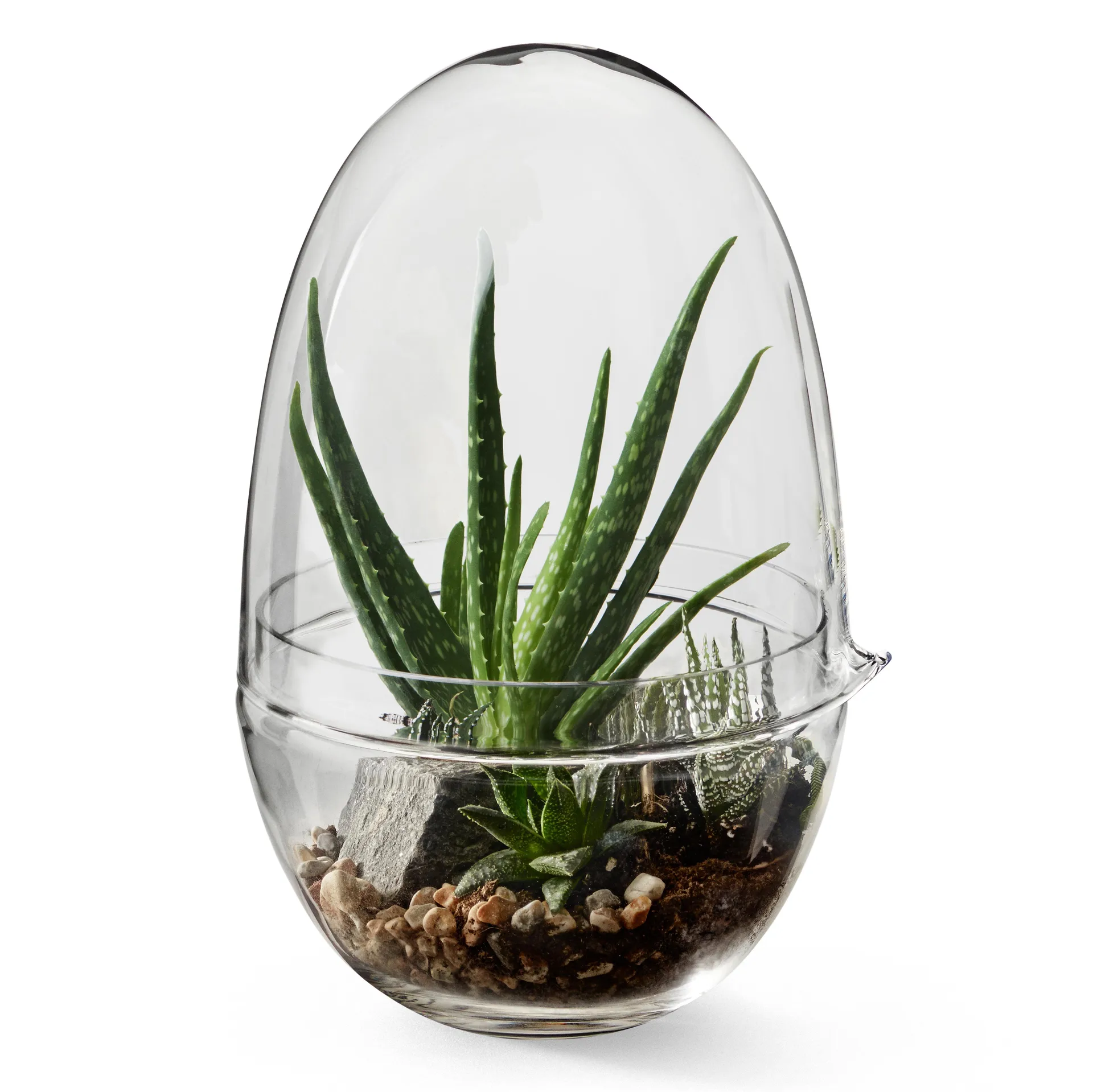Grow 温室花房, 加大号_直径20cm Design House Stockholm