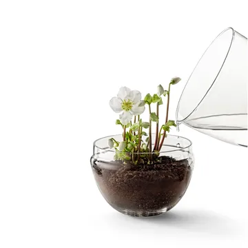 Grow 温室花房 - 加大号_直径20cm - Design House Stockholm