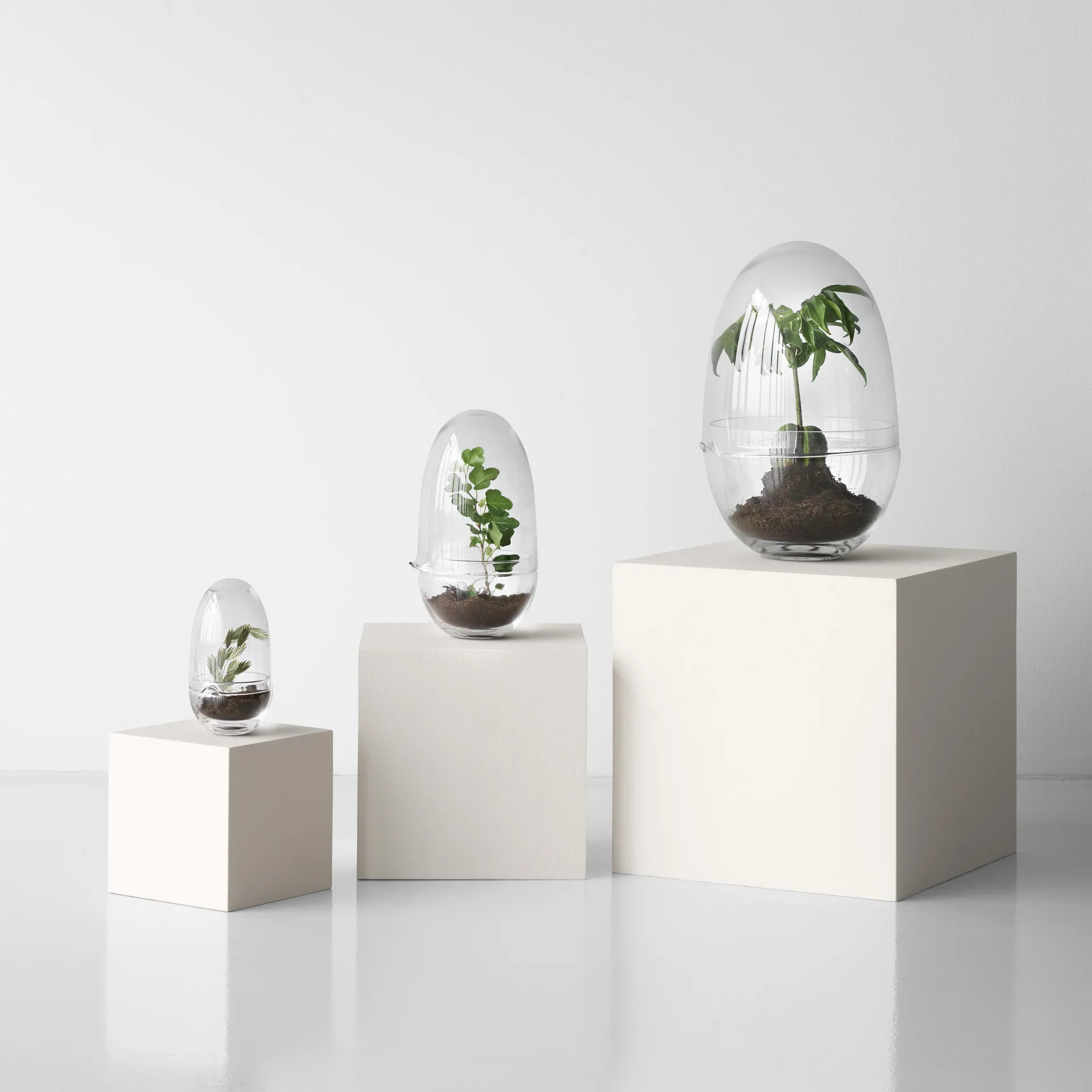 Grow 温室花房, 加大号_直径20cm Design House Stockholm