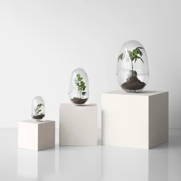 Grow 温室花房 - 加大号_直径20cm - Design House Stockholm