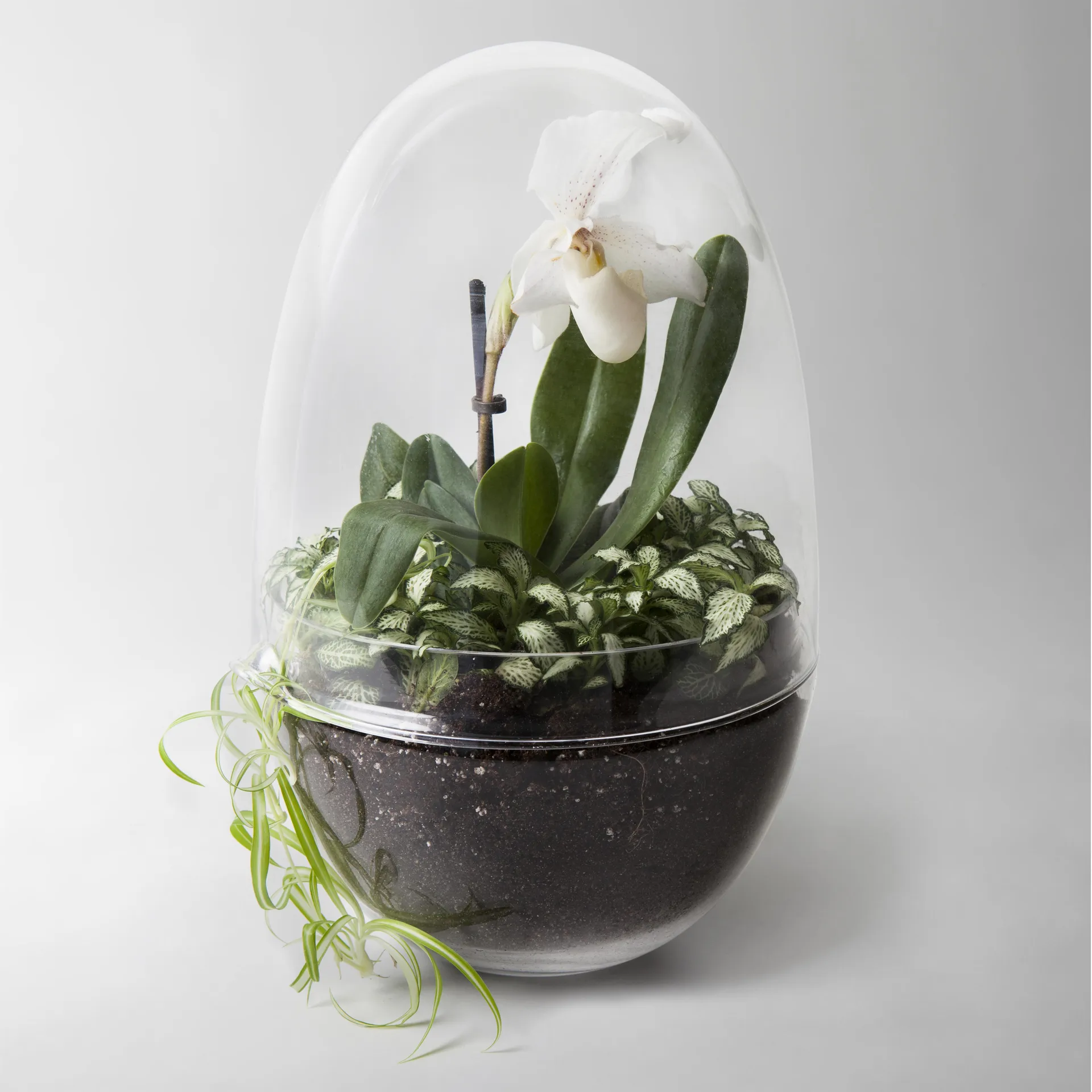Grow 温室花房, 加大号_直径20cm Design House Stockholm