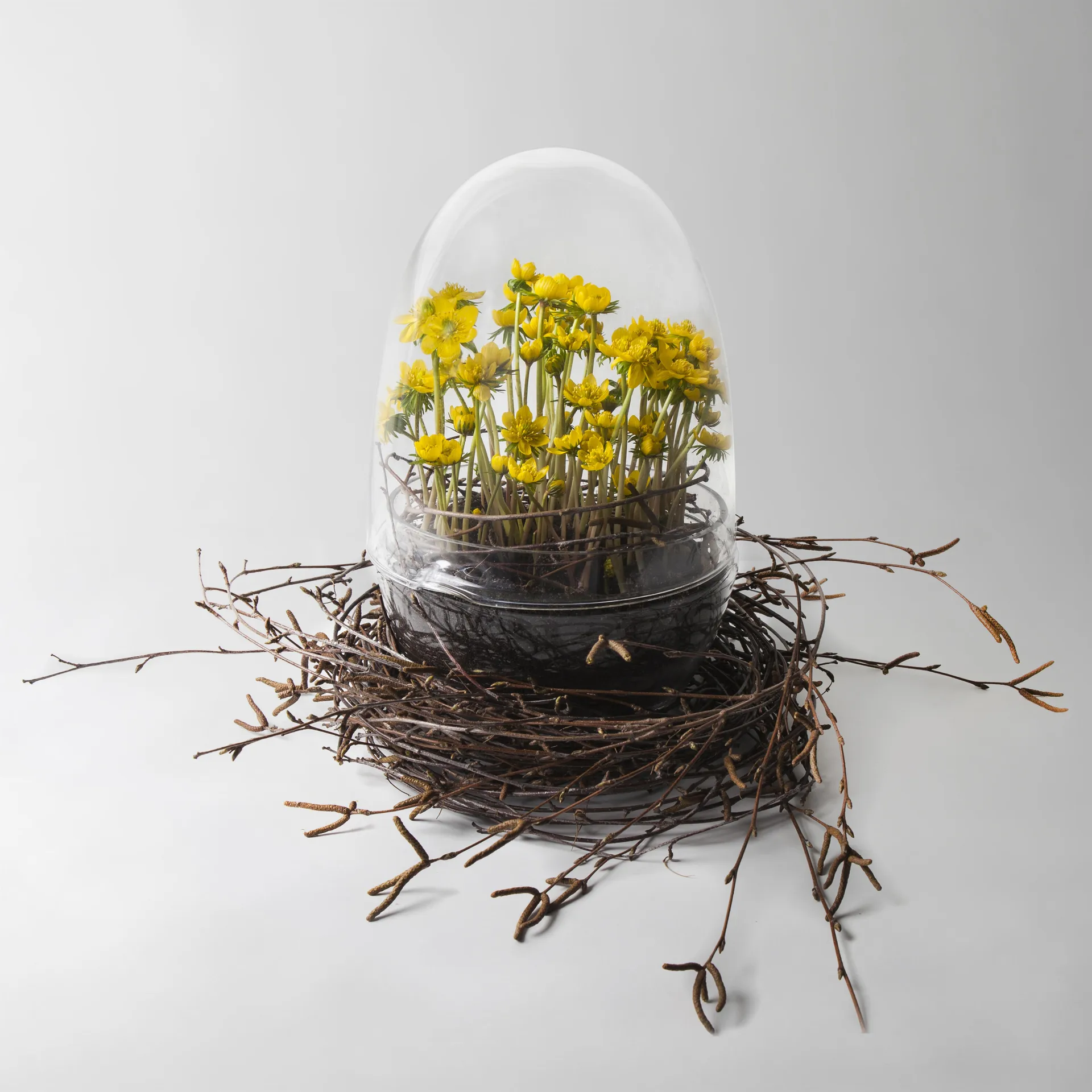 Grow 温室花房, 加大号_直径20cm Design House Stockholm