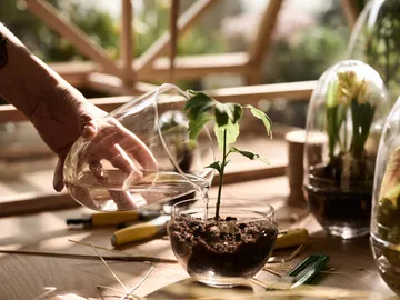 Grow 温室花房 - 小号_直径8cm - Design House Stockholm