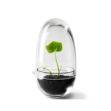 Grow 温室花房 - 小号_直径8cm - Design House Stockholm