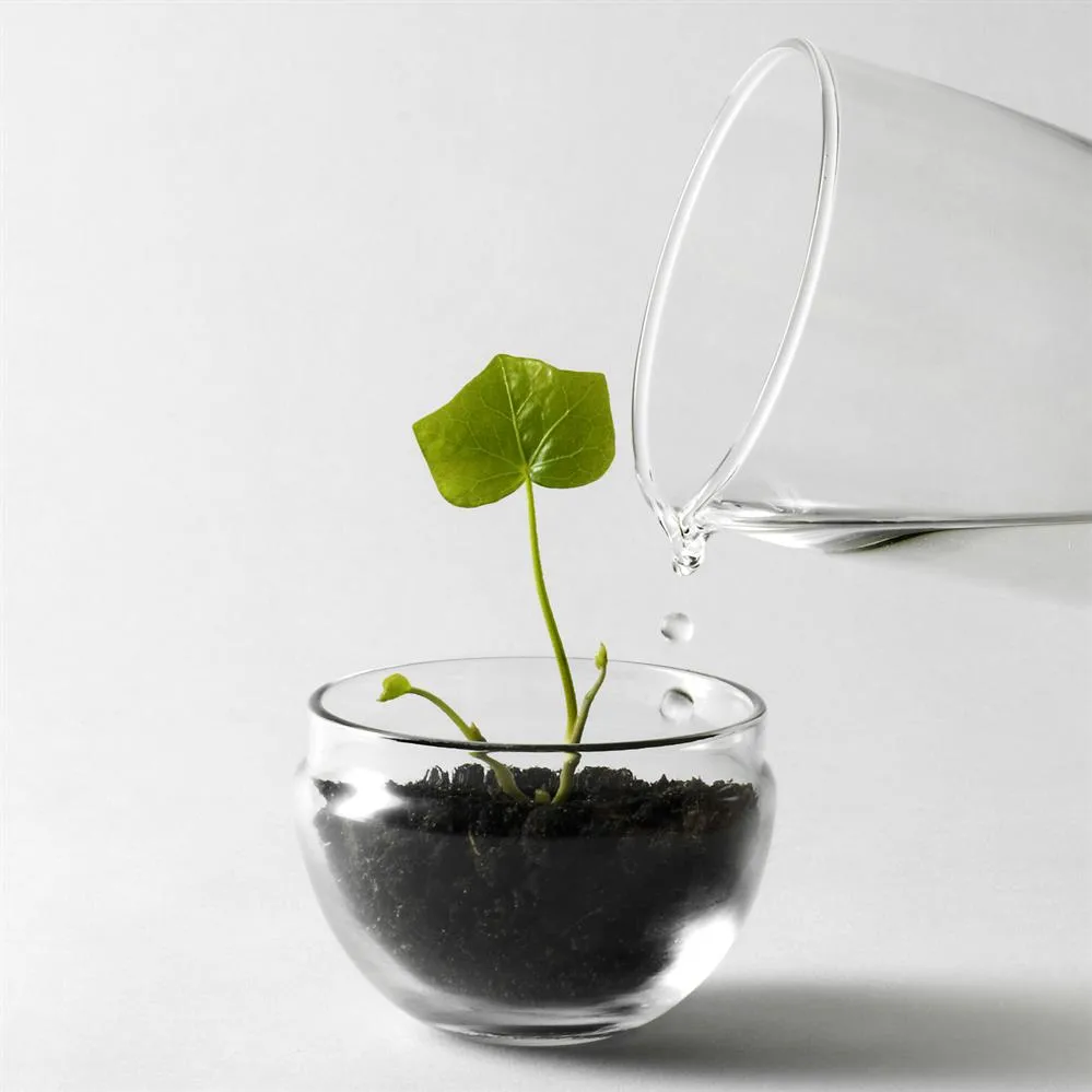 Grow 温室花房, 小号_直径8cm Design House Stockholm