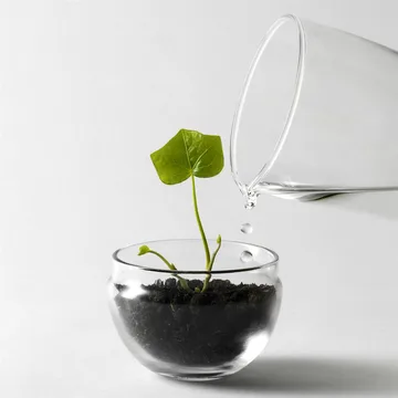 Grow 温室花房 - 小号_直径8cm - Design House Stockholm