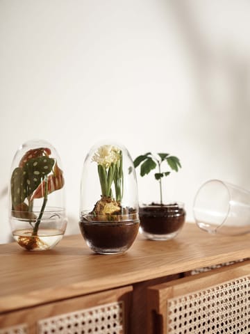 Grow greenhouse - Medium - Design House Stockholm