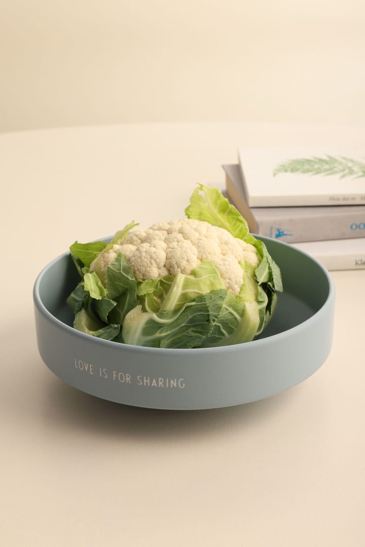 Design Letters favourite 碗 大 Ø22 cm, Light blue Design Letters