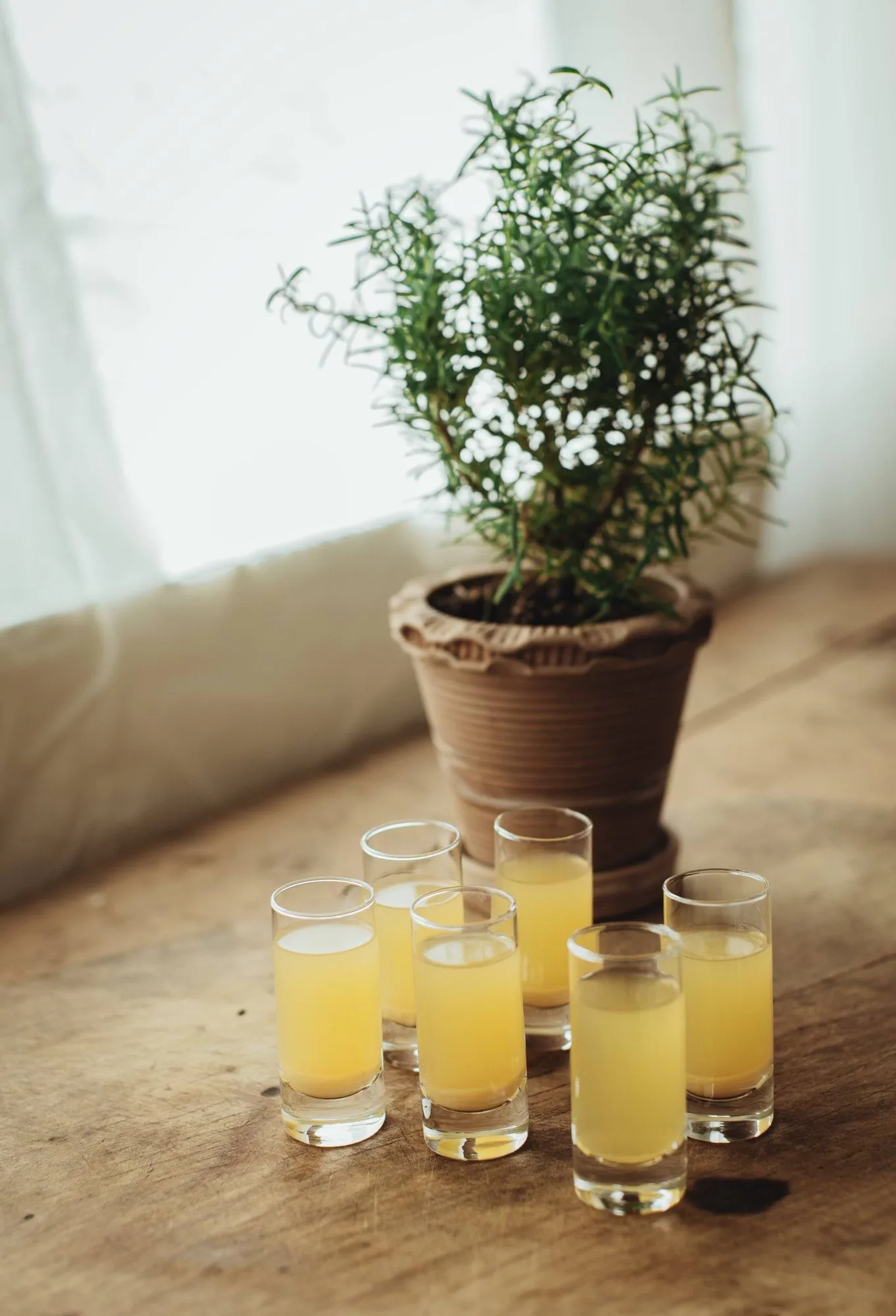 烈酒杯, 直身杯，6只装，60ml Dorre